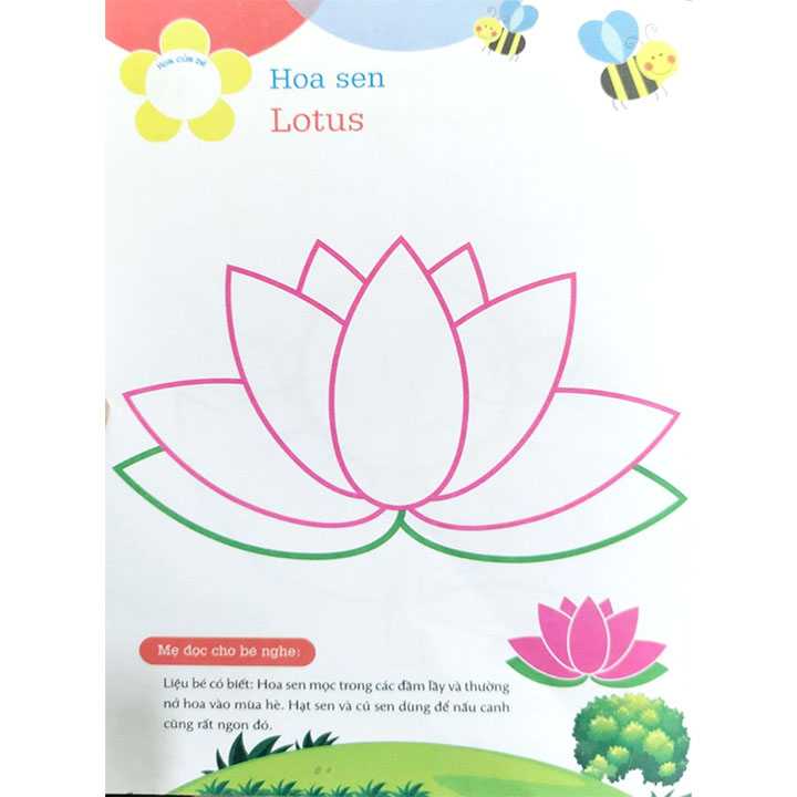 Ong Làm Hoạ Sĩ - Bé Tô Màu Theo Chủ Đề - Các Loại Hoa - Ảnh 4