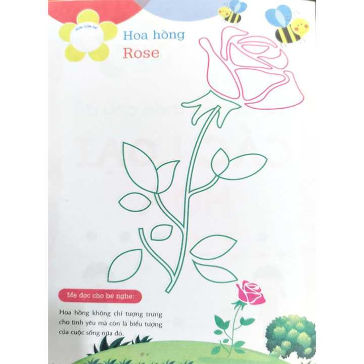 Ong Làm Hoạ Sĩ - Bé Tô Màu Theo Chủ Đề - Các Loại Hoa - Ảnh 2