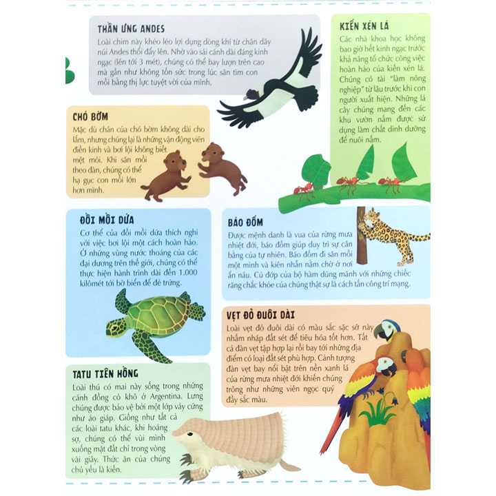 Atlas động vật - Ảnh 4