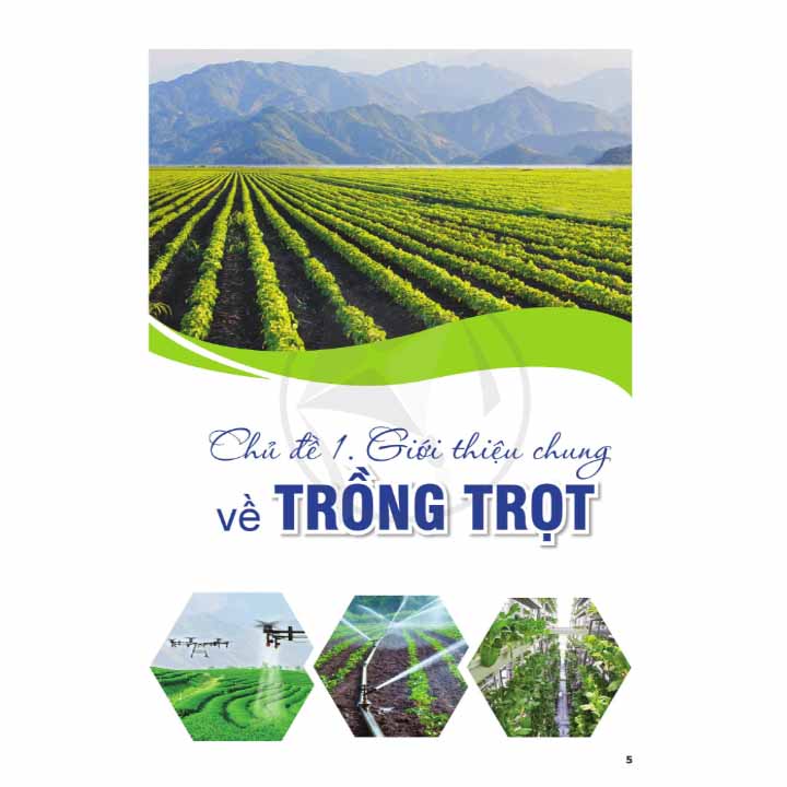 Công Nghệ 10 - Công Nghệ Trồng Trọt - Bộ Cánh Diều - Ảnh 5