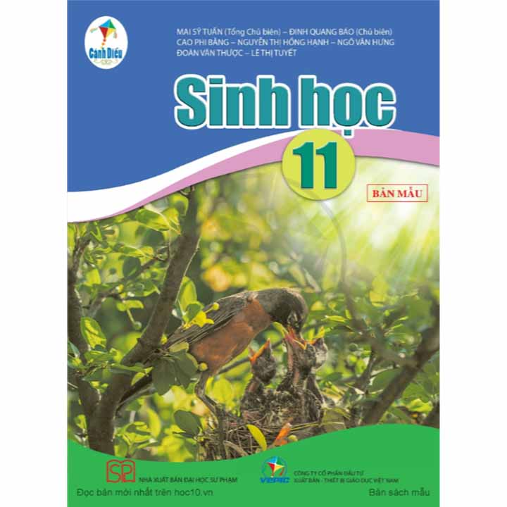 Sinh Học 11 - Bộ Cánh Diều