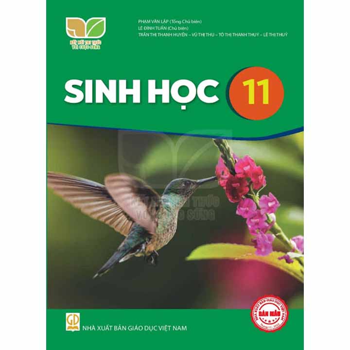 Sinh Học 11 - Bộ Kết Nối Trí Thức