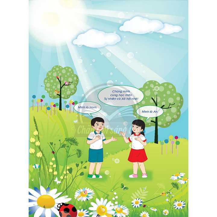 Tự Nhiên Và Xã Hội 3 - Bộ Chân Trời - Ảnh 3