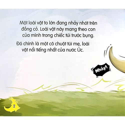 Amazing Animals - Những Loài Vật Đáng Kinh Ngạc! - Chuột Túi - Biểu Tượng Của Nước Úc - Ảnh 2