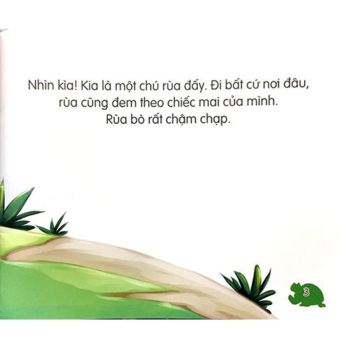 Amazing Animals - Những Loài Vật Đáng Kinh Ngạc - Rùa Chậm Mà Chắc - Ảnh 3