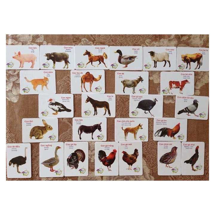 Bộ Thẻ Học Thông Minh Flashcards Cho Bé Học Tiếng Anh BIBO 416 Thẻ Học - Ảnh 2