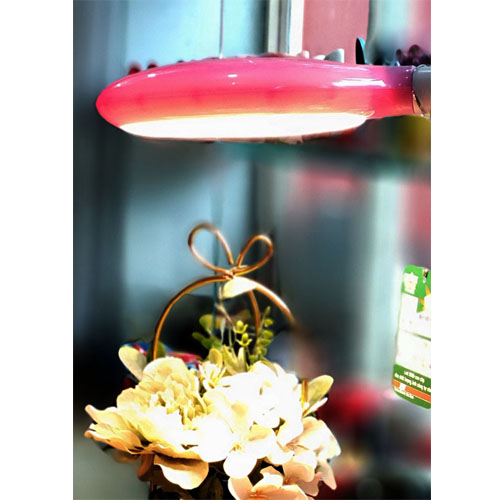 Đèn Học Chống Cận Thị Protex PR008B _B - Xanh - Hàng Chính Hãng - Ảnh 2