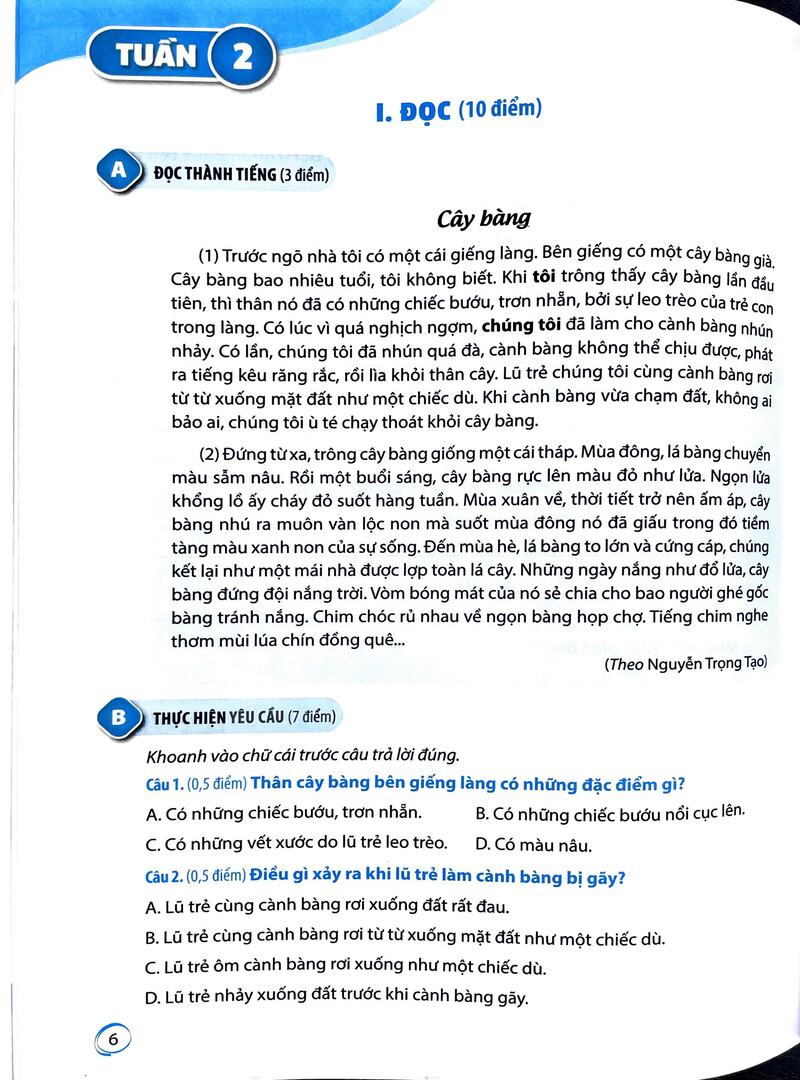 Phiếu tự đánh giá cuối tuần và kiểm tra định kì môn Tiếng Việt 5 (Kết nối tri thức với cuộc sống) - Ảnh 4